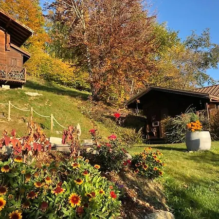 Chalet Les Gougnats *